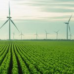 Schimbarea Îndrăzneață de la BP: O Retragere Strategică din Energie Verde?